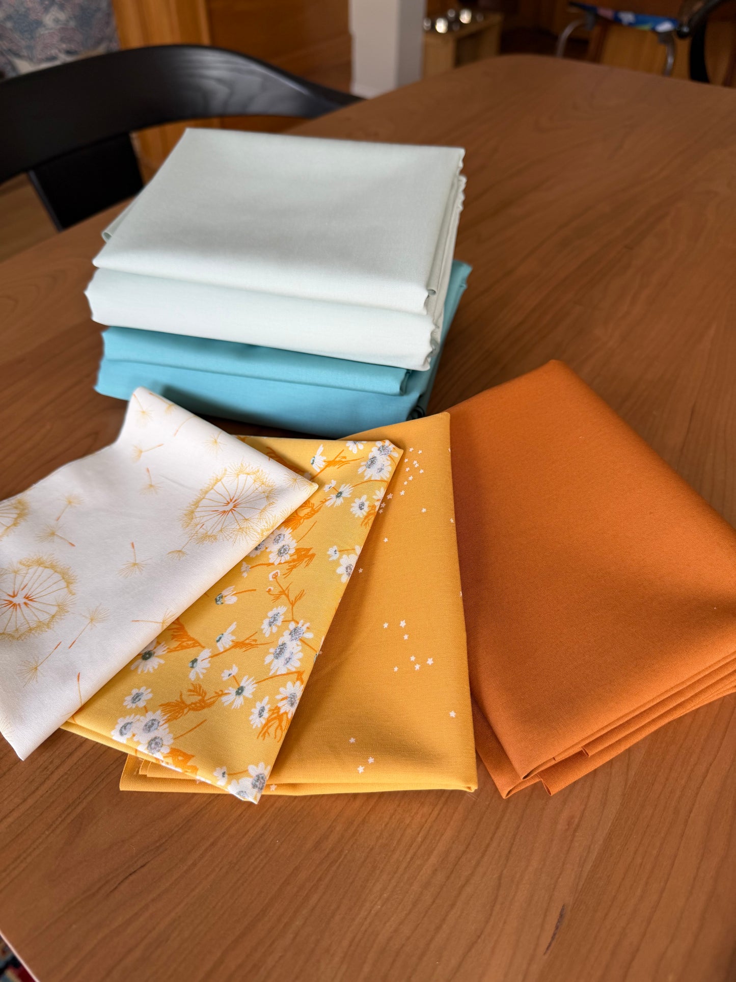 Everett Star Quilt Kit