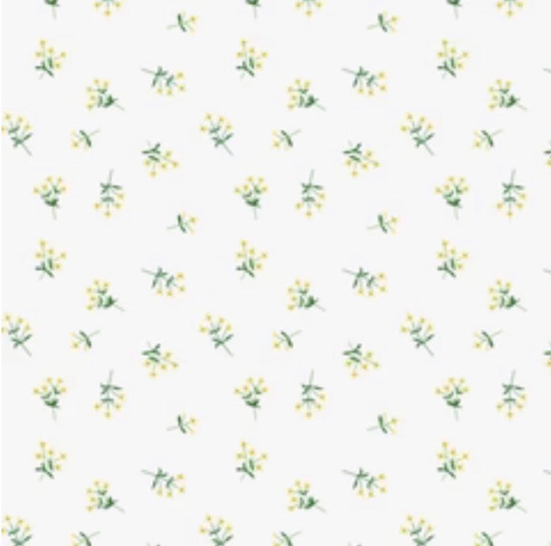 Field Gentian | Yellow : Cloud 9