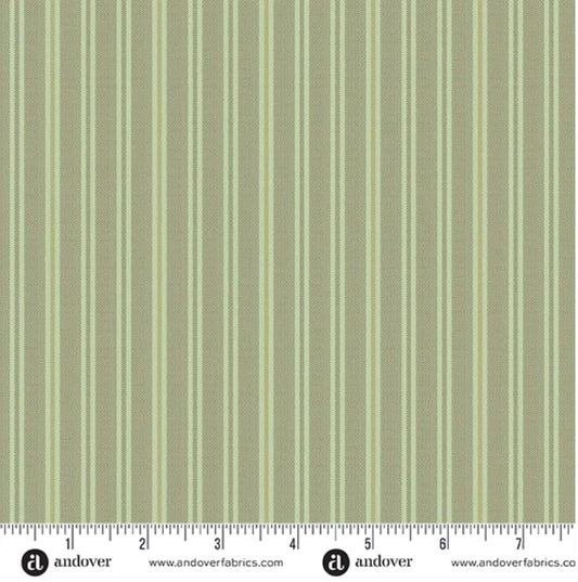 Double Stripe Sequoia : Andover Fabrics